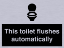 this-toilet-flushes-automatically~